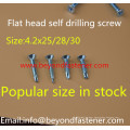 Self Tapping Screw T17 Cutting Point